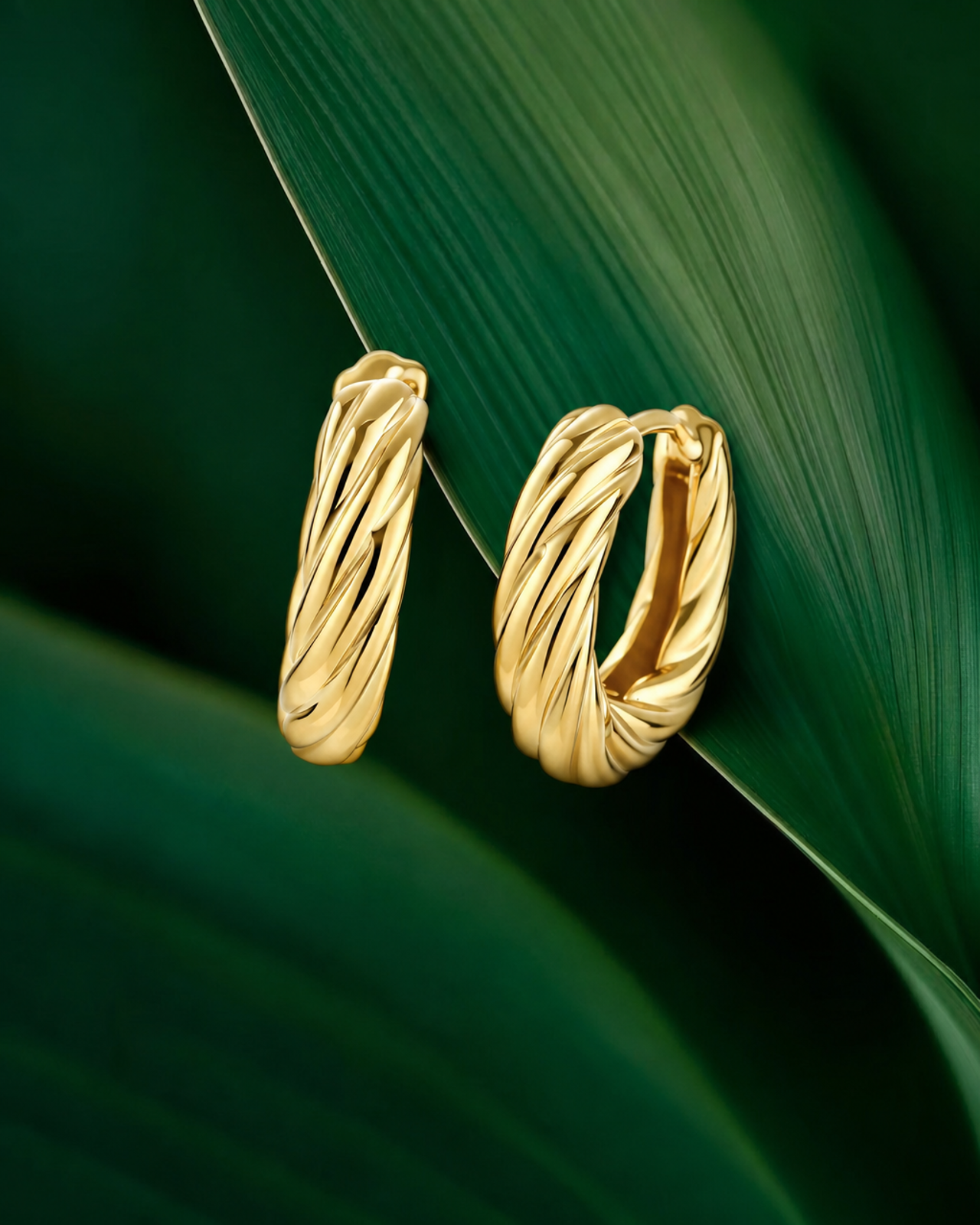 Gold twist hoop earrings on a green leaf